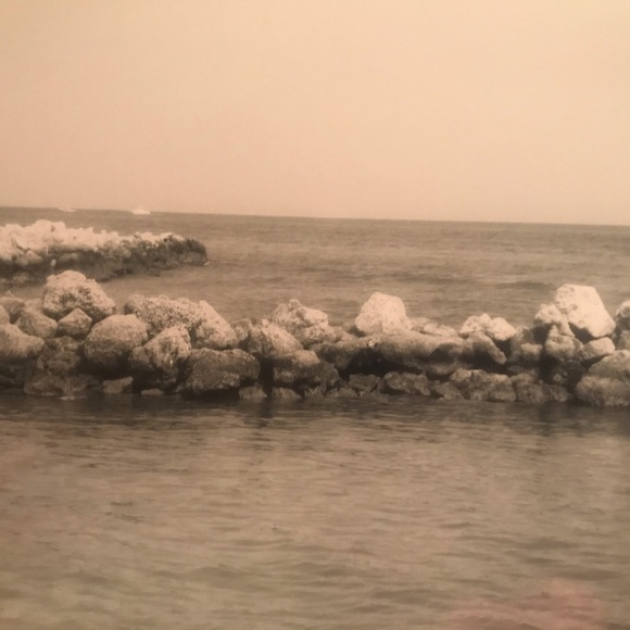 Meet your Posher, Mitzi - Picture 7 of 16